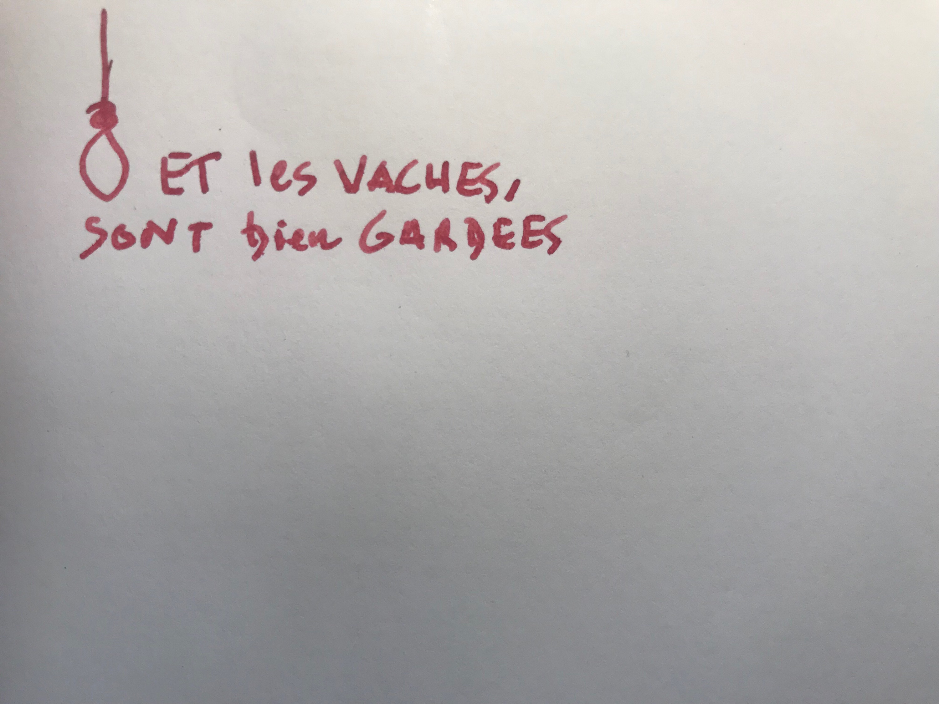 image_550233897982247