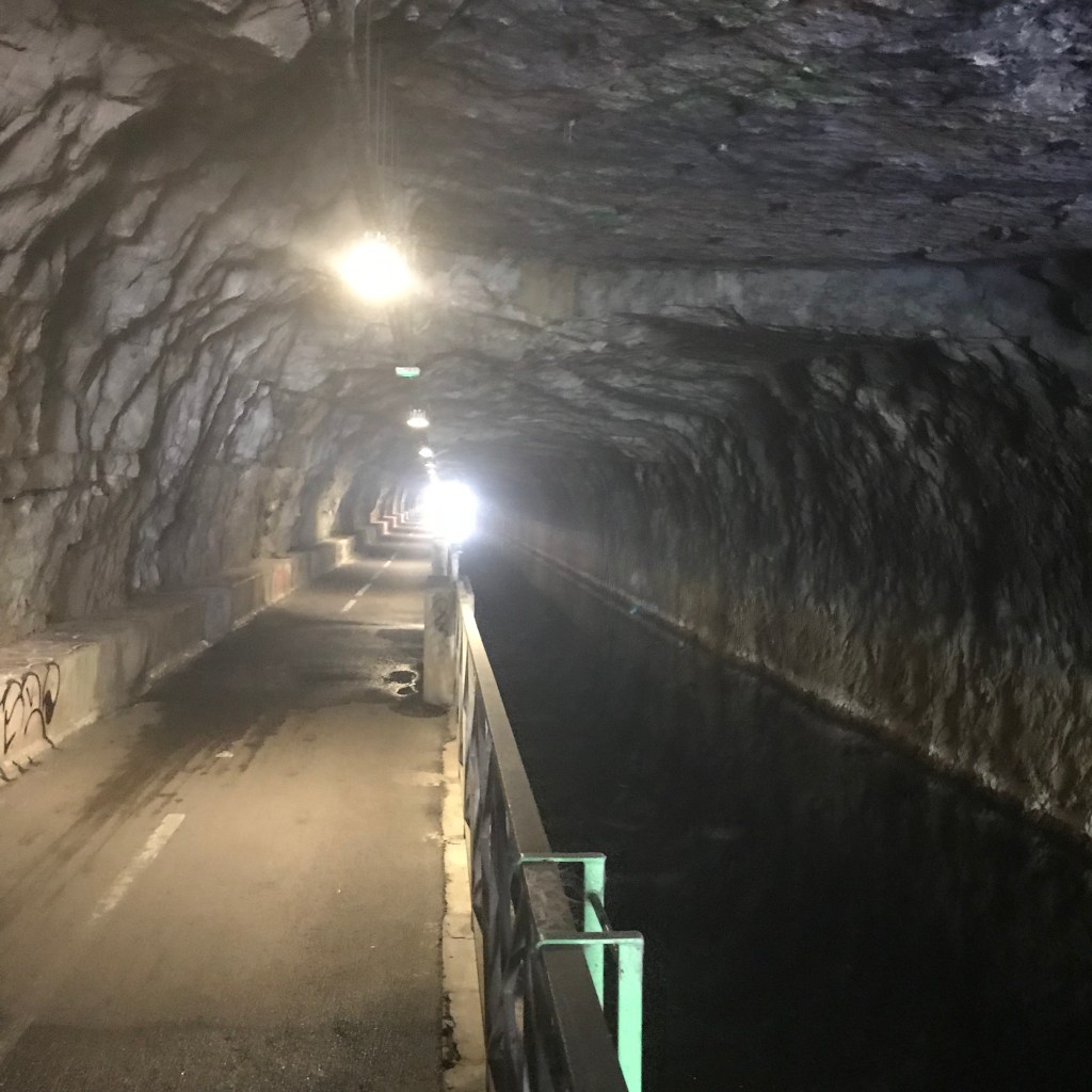 Laisse-moi te muséifier (lecture&nbsp;tonnante)