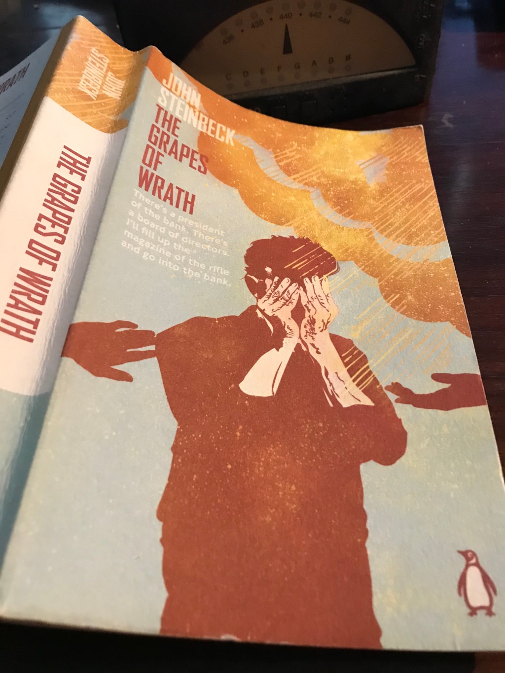 GRAPES OF WRATH ( You’re buying a sorrow that can’t talk&nbsp;)